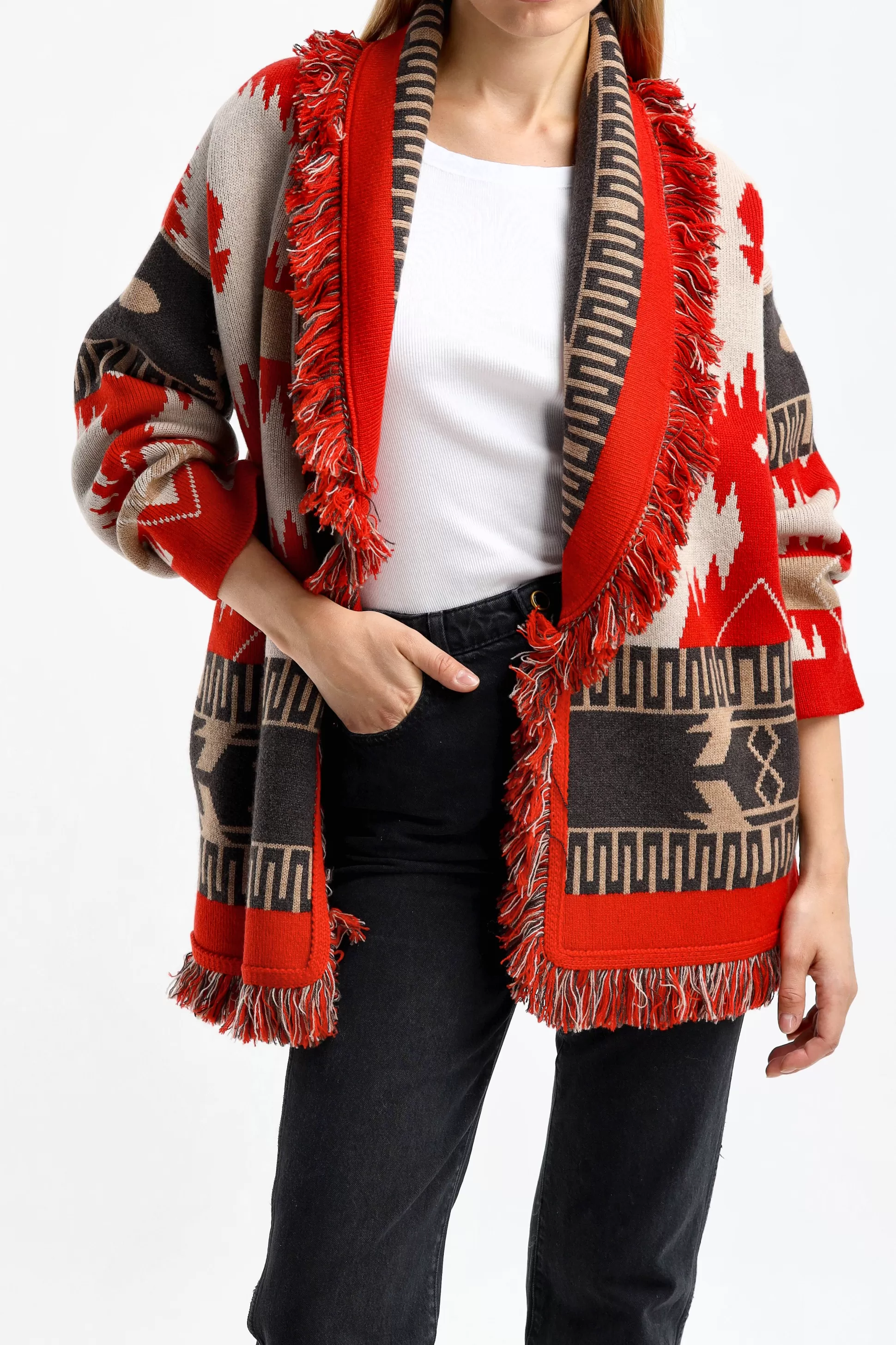 Alanui Vestes En Maille & Ponchos^Cardigan Icon Jacquard En Feu De Sable